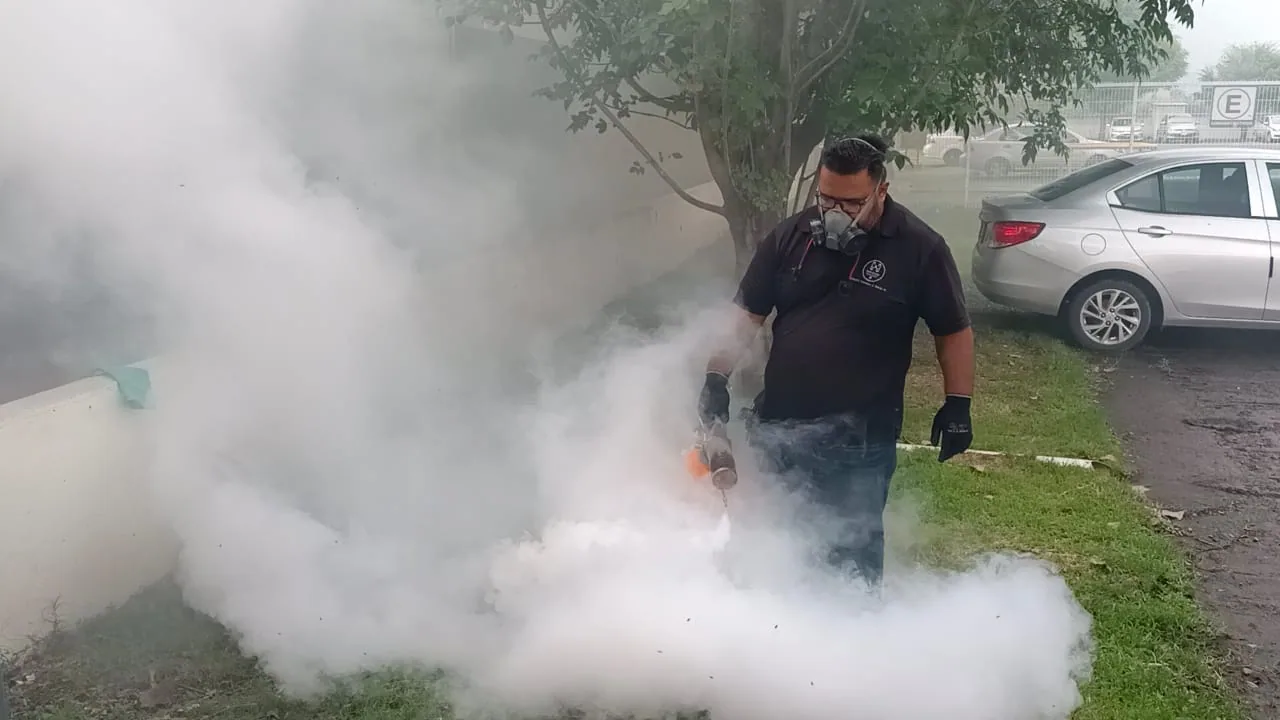 Aplicación de termonebulización en exterior