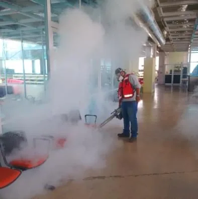 Aplicación de niebla en instalaciones comerciales